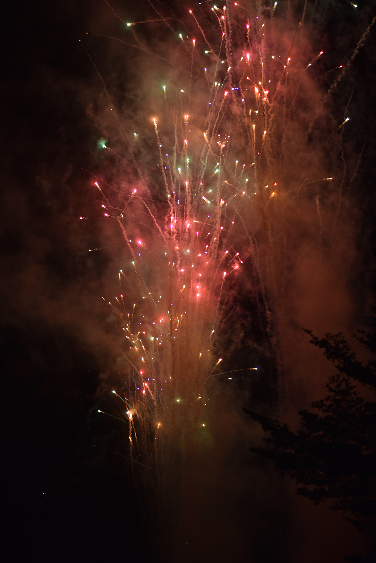 静默（图ZMjgxMjY4Njky） - 环境/建筑摄影 - 站酷设计师阳光生物原创素材 - 站酷ZCOOL