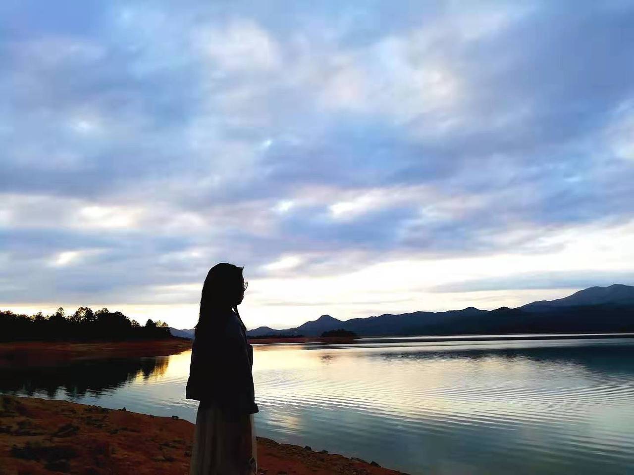 梦里花落知多少