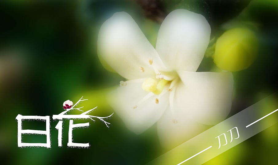 第一次设计字体