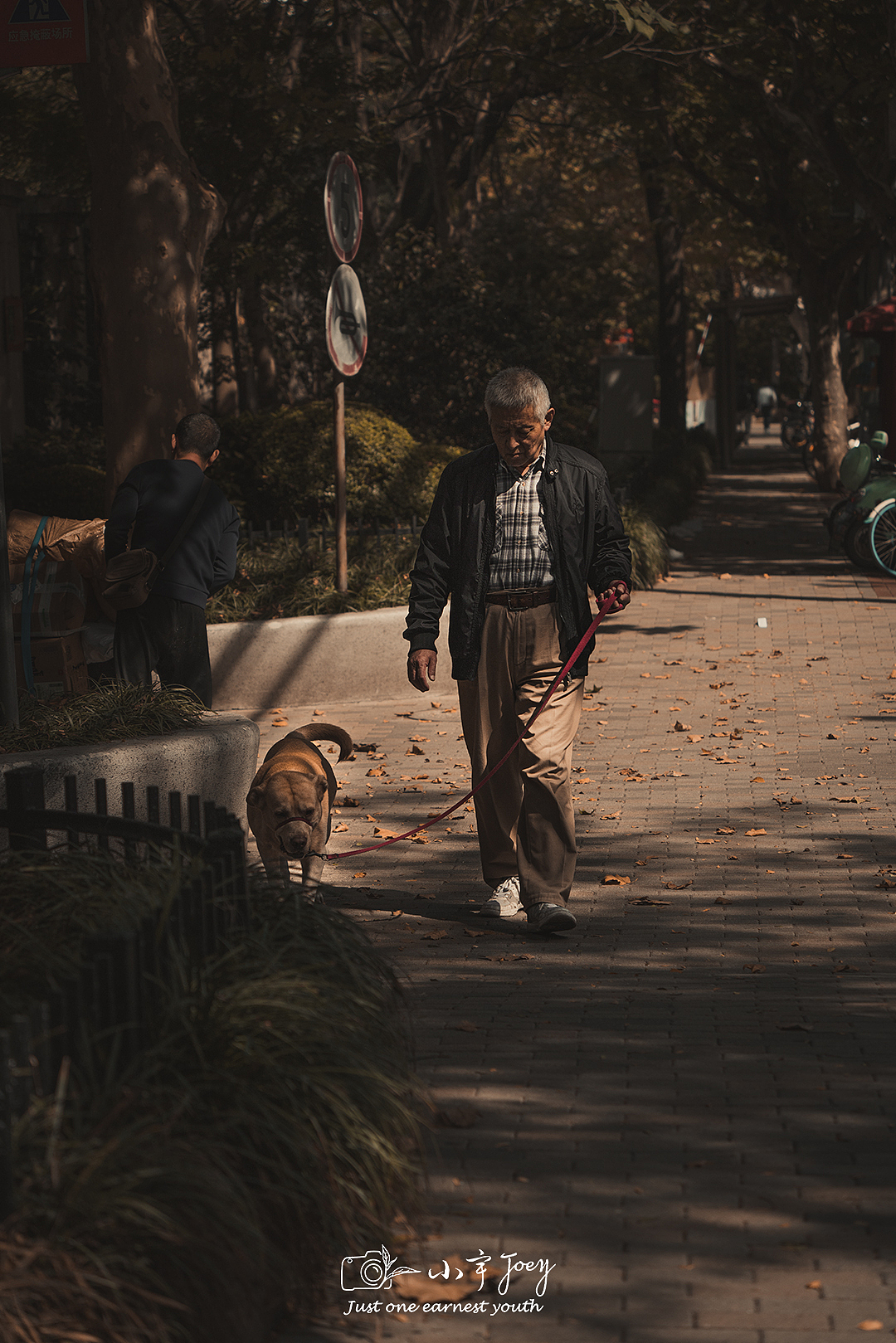 寻秋之旅 - 上海（图ZMjMwNTIyMzc2） - 风光摄影 - 站酷设计师宇宙丶Joey原创素材 - 站酷ZCOOL