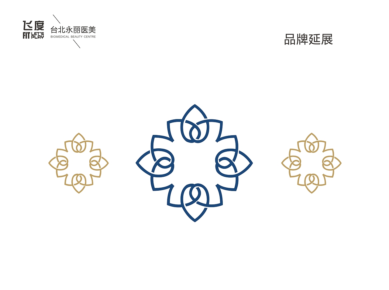 医疗美容中心\医疗美容\LOGO\VI\品牌（图ZNTI4MDA2NjQ=） - 品牌 - 站酷设计师飞度视觉的强原创素材 - 站酷ZCOOL