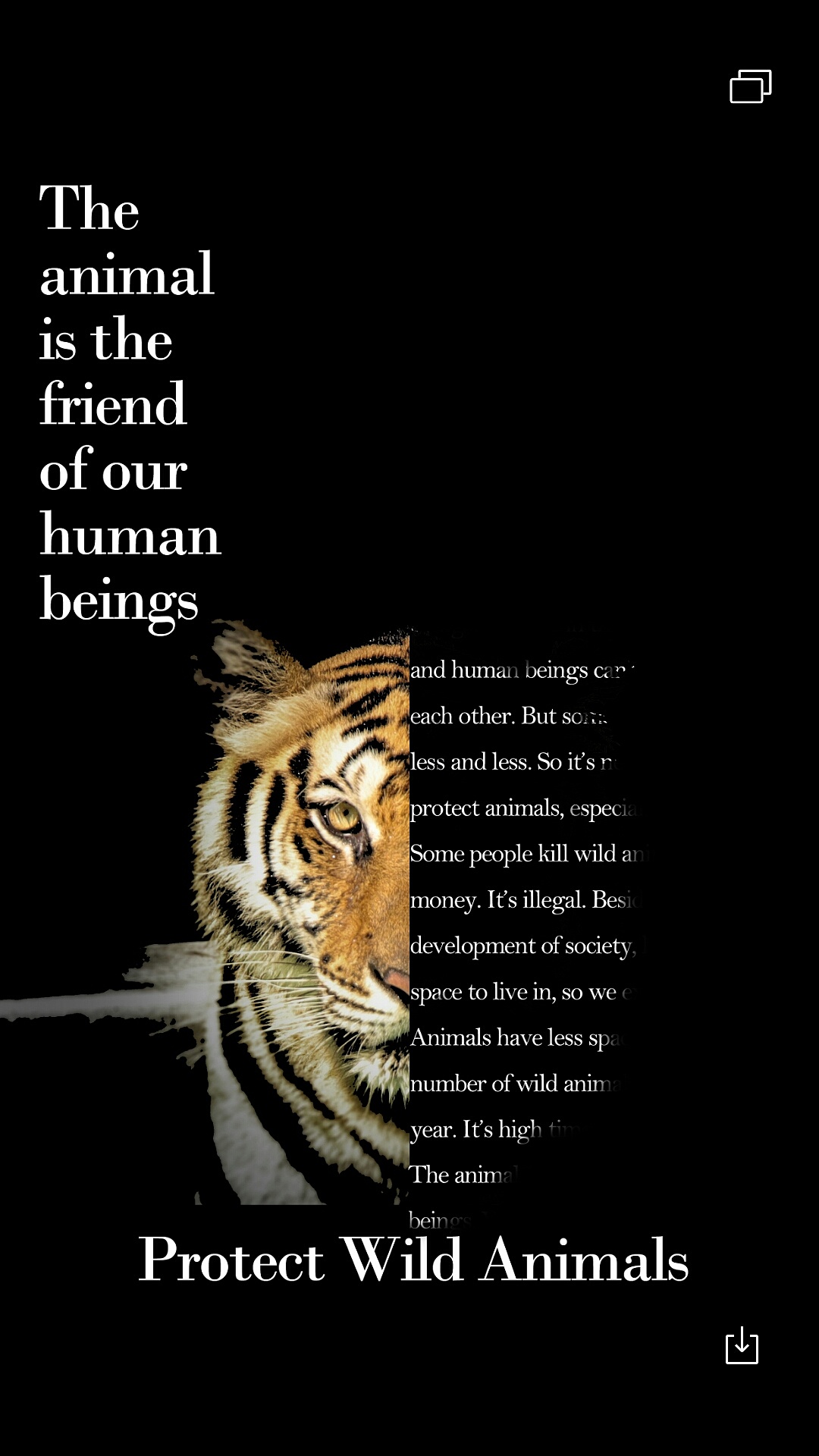 拯救动物英语海报图片图片