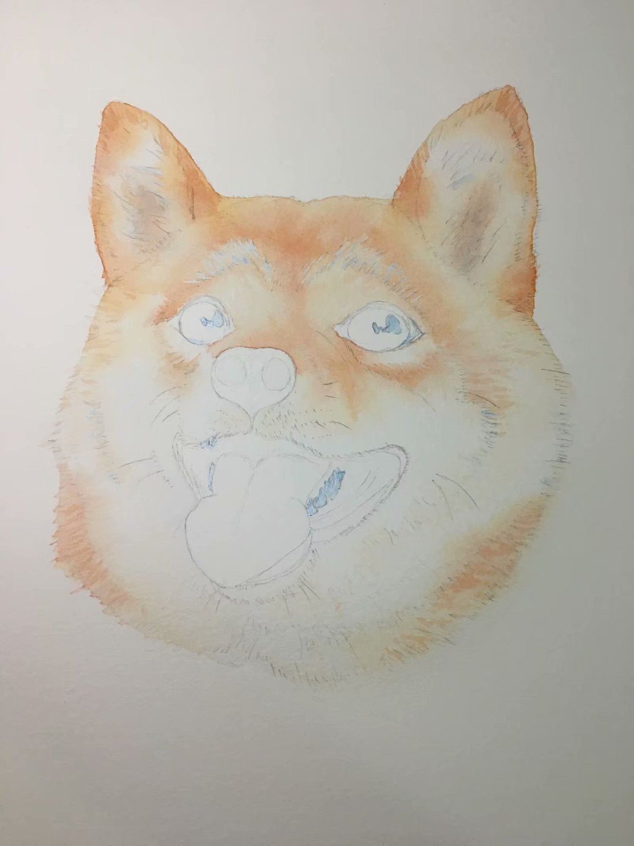 水彩-柴犬,附步骤|纯艺术|绘画|taijyou_原创作品-站酷zcool