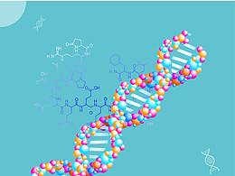 基因画册封面