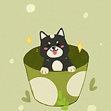 飞行猫猫的头像