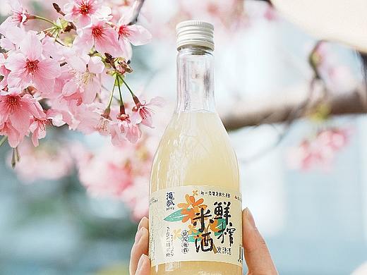 樱花下的约定啊——桂花米酒