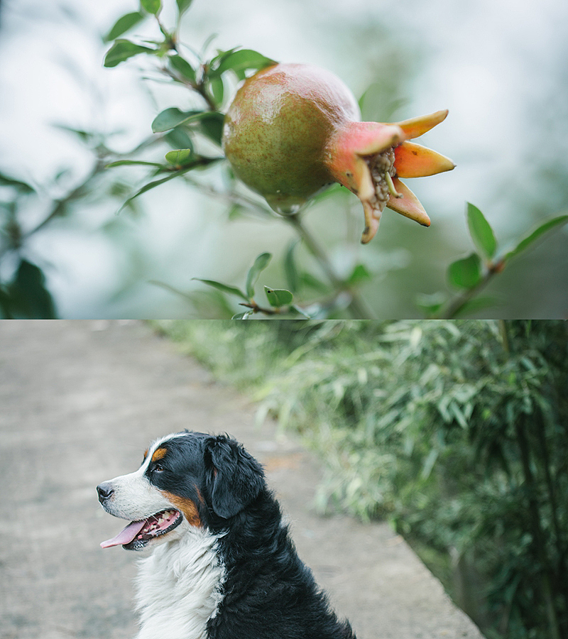 如果雨不难过,伞就要难过了