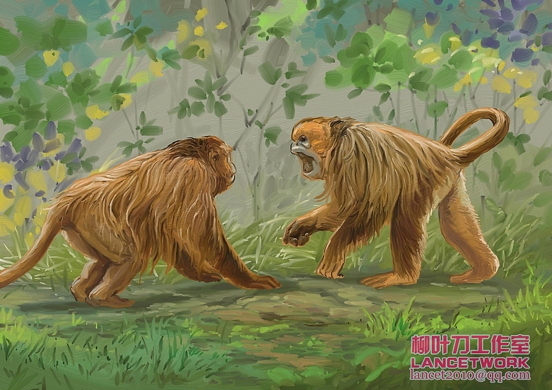 动植物插画小品