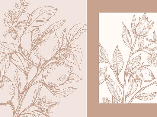 植物系书籍插画