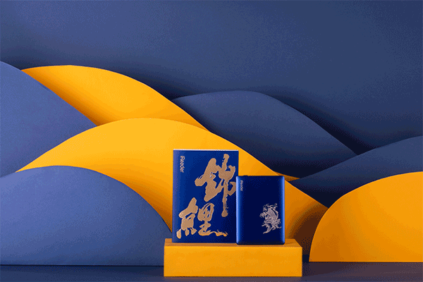 iReader锦鲤版 设计项目