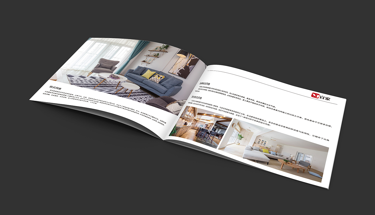 这是画册的内页部分，这两张整体主色调为白色,文字内容为黑体，让人在阅读的时候感觉到舒服。
<br>