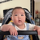 十七很懒的头像