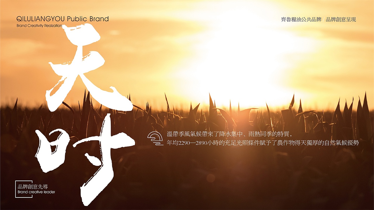 【齐鲁粮油】-品牌创意呈现（图ZMTcxODQ4NzA0） - 品牌 - 站酷设计师刘线DotDotDesign原创素材 - 站酷ZCOOL