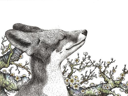 花物习作（个人主页-ZNTYxNTExMjg=） - 艺术插画 - 站酷设计师别翘小乙巴原创素材 - 站酷ZCOOL