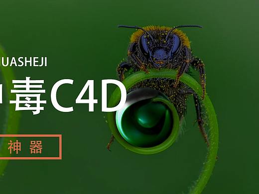 排版与合成