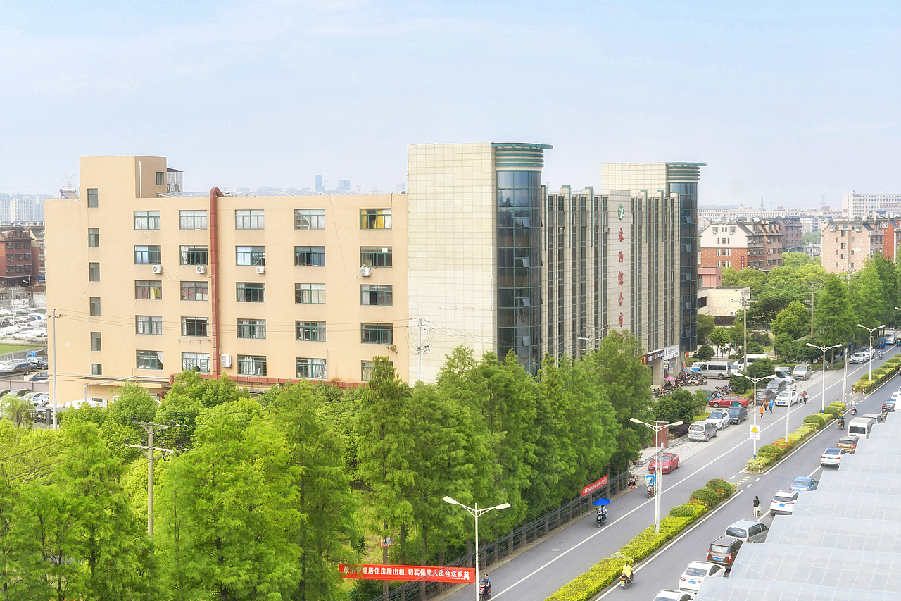 浙江省杭州市余杭区乔司永西村高速发展的永西