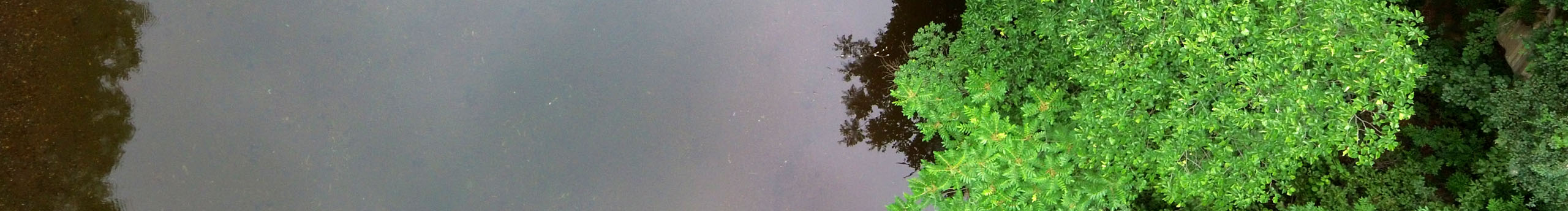 青狐互動(dòng)的個(gè)人主頁(yè)（背景預(yù)覽） - 主頁(yè)背景設(shè)置 - 站酷設(shè)計(jì)師青狐互動(dòng)原創(chuàng)素材 - 站酷ZCOOL