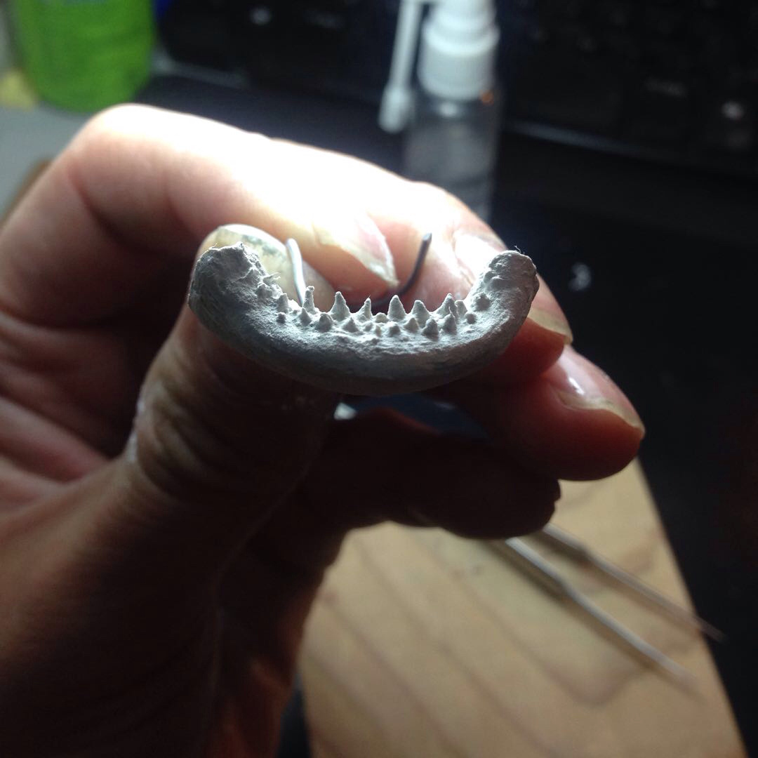 [柳叶刀工作室]腔棘鱼雕塑过程