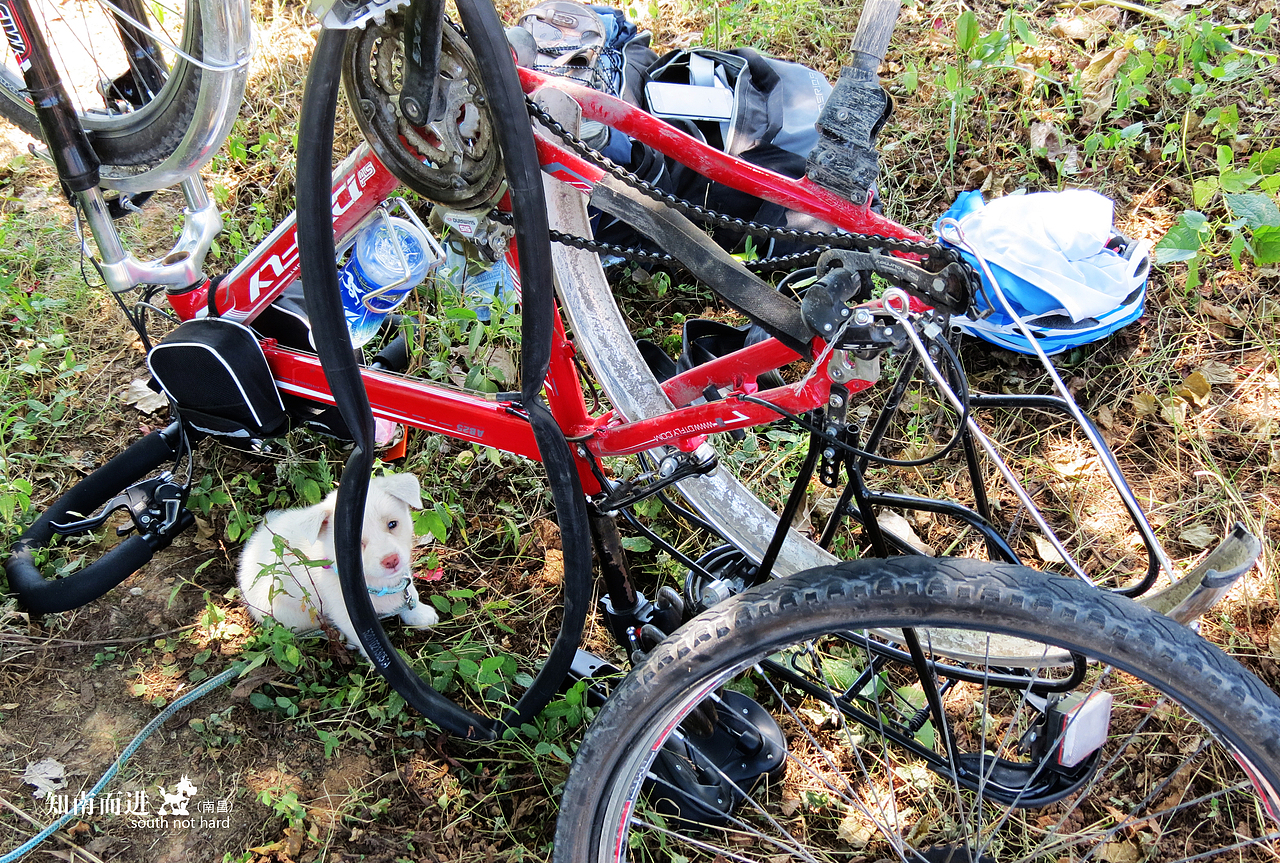 知南而进 (南昌)