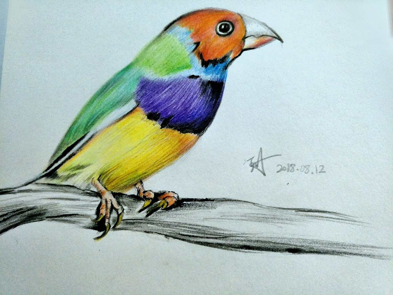 彩鉛（圖ZMTMxMzY3MzM2） - 繪畫 - 站酷設(shè)計師彡杉原創(chuàng)素材 - 站酷ZCOOL