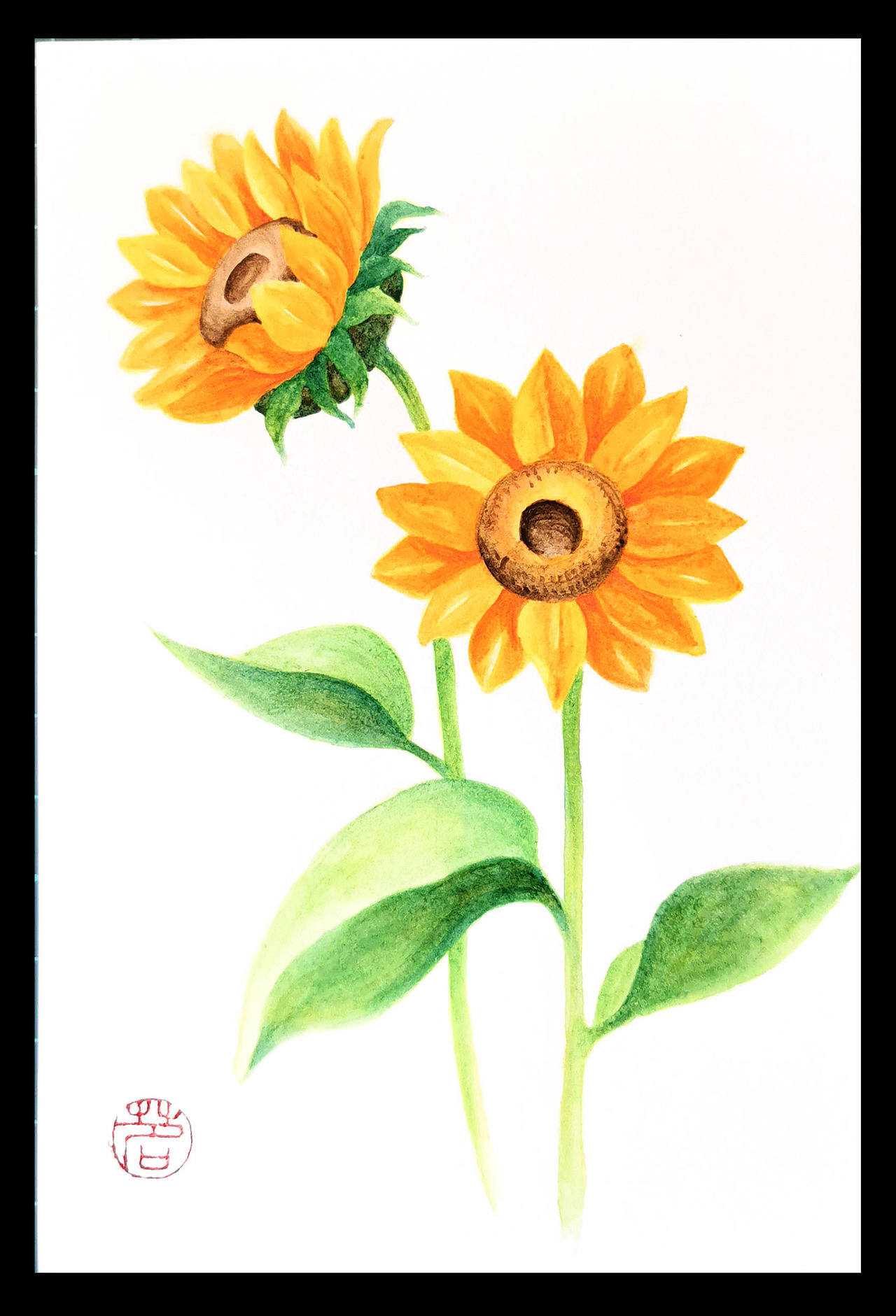 明信片的魅力-ing