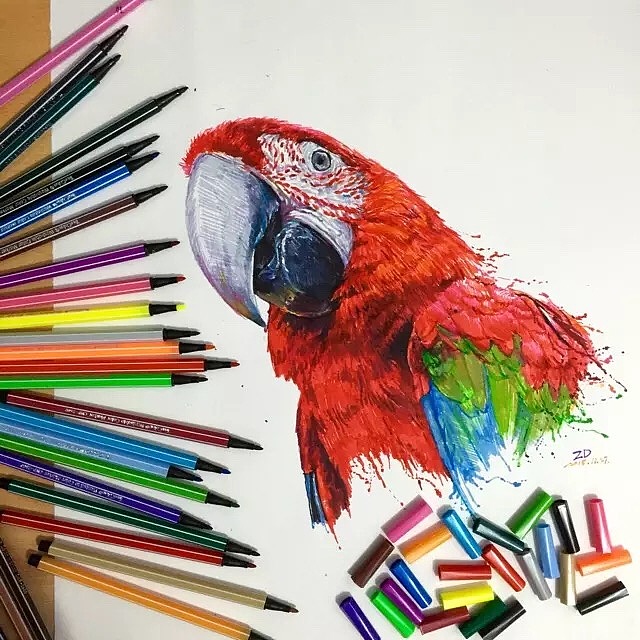 ZD水彩筆鸚鵡。（圖ZNDcyNTY0Njg=） - 繪畫 - 站酷設(shè)計師AisinGioroZD周丹原創(chuàng)素材 - 站酷ZCOOL