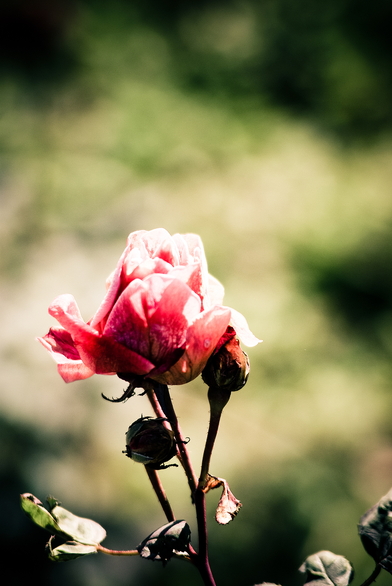 外事北-久违的校园,寻找那熟悉而又淡忘的曾经