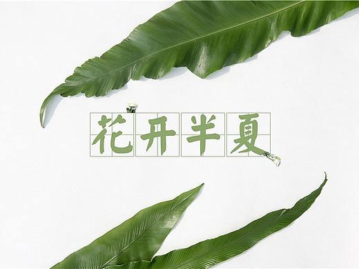 静物