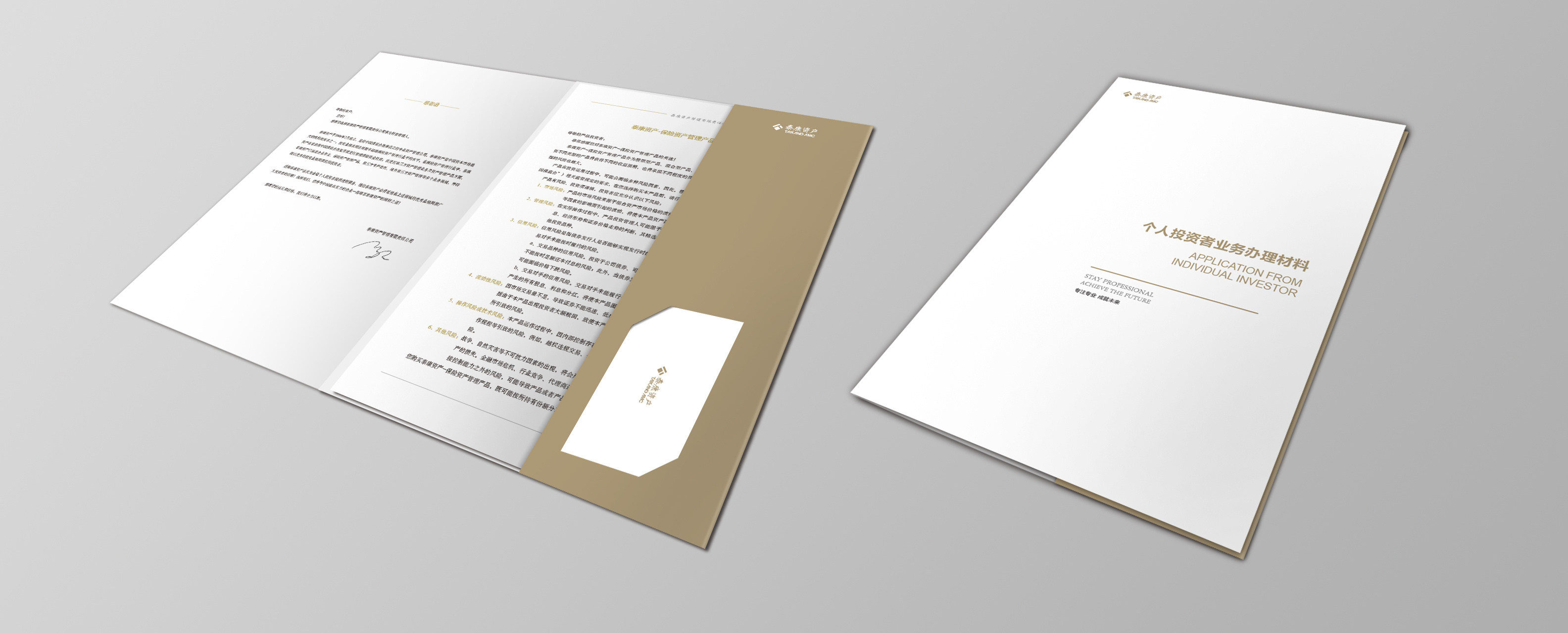 泰康资产封套/文件夹/封面设计