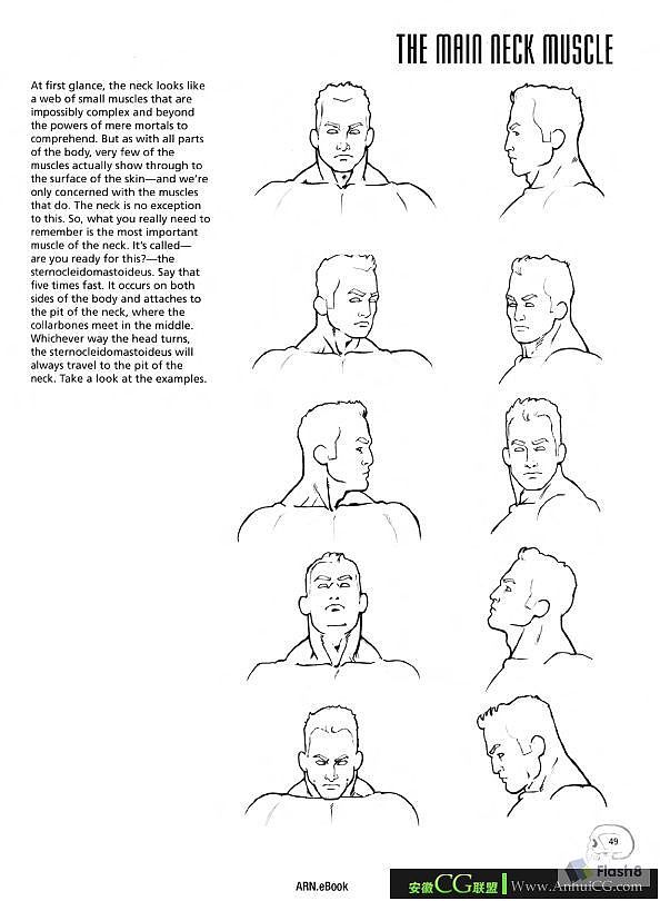 人体结构2（图ZMTkyNTQzNjY0） - 创作习作 - 站酷设计师御猫神原创素材 - 站酷ZCOOL