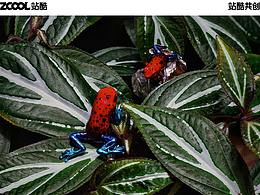 #環(huán)保面孔 100# 跨物種的相處模式