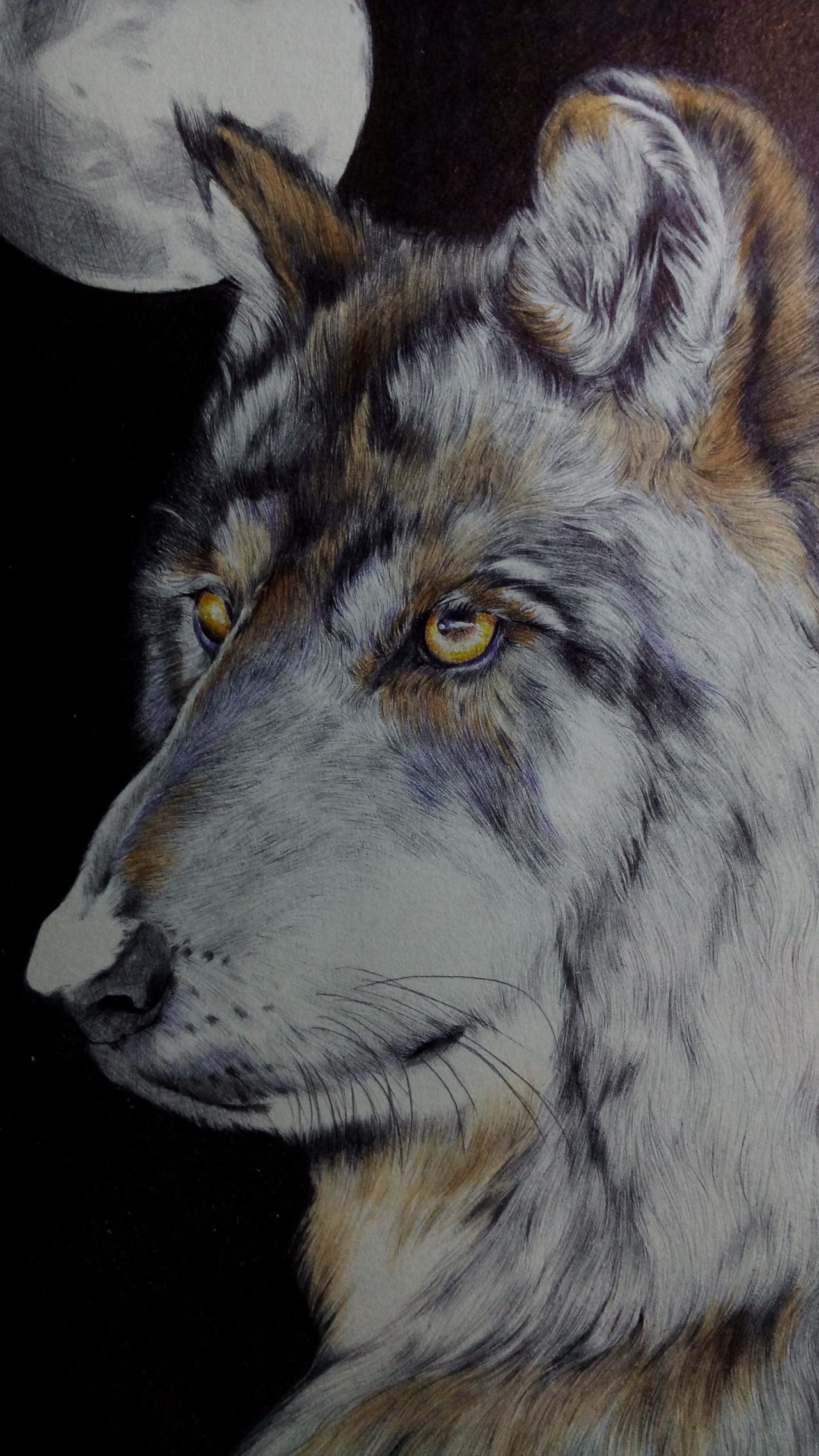 喜欢圆珠笔那细腻的笔触,用一笔一划来描绘