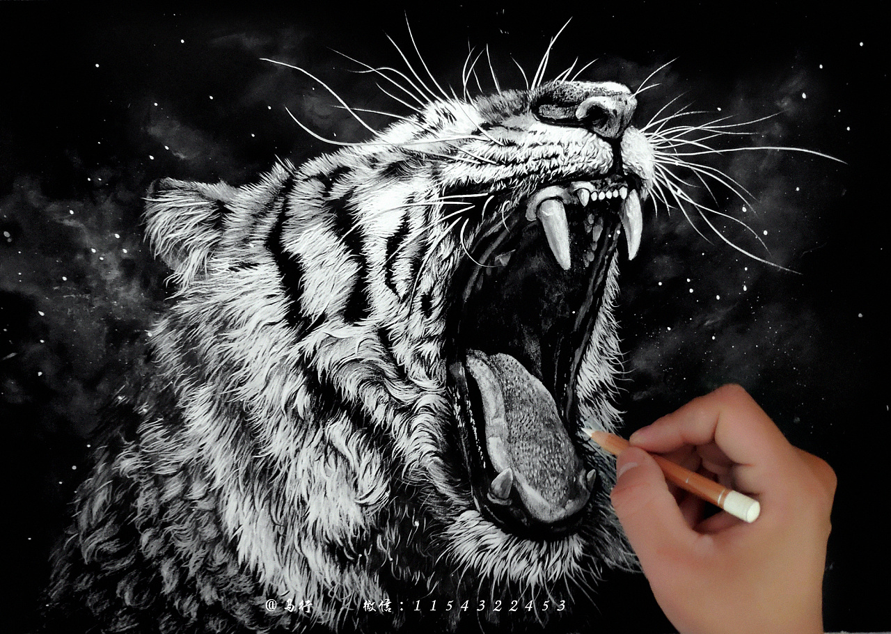 黑白动物绘画系列