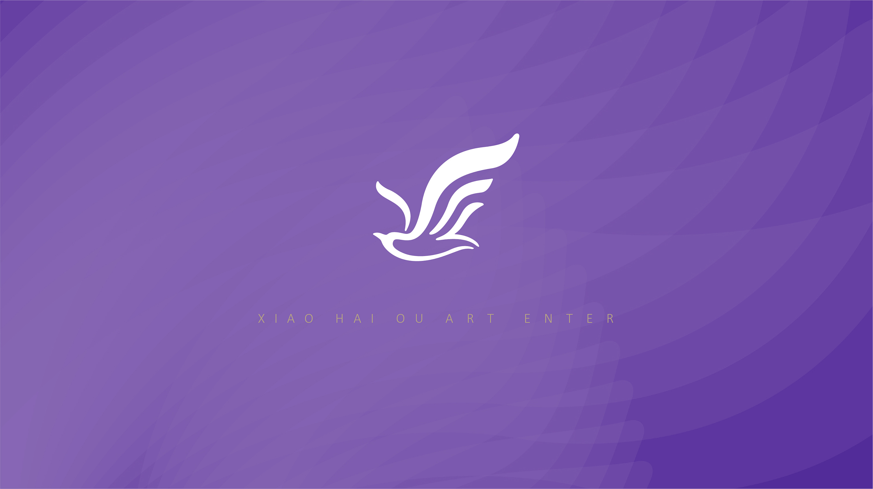 小海鸥 舞蹈品牌形象重塑