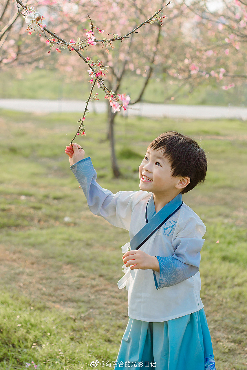 待到樱花烂漫时