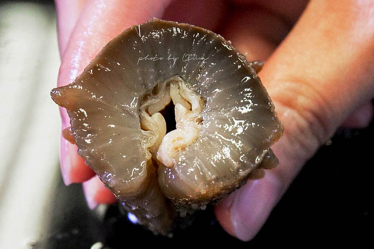 海参拍摄（图ZMjEzMTc4MDky） - 产品摄影 - 站酷设计师无厘头CRQ原创素材 - 站酷ZCOOL