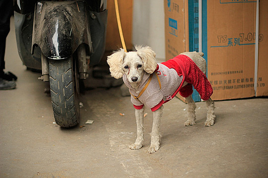 扫街静物篇@南京东路到@小南门 