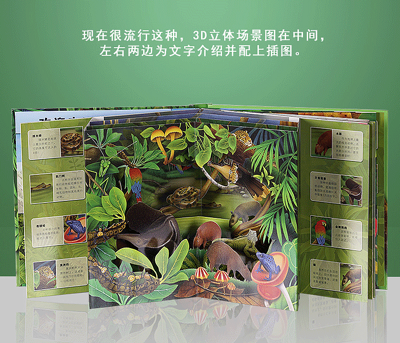 热带雨林 3D自然世界系列 0-3-6-7岁趣味科普立体书