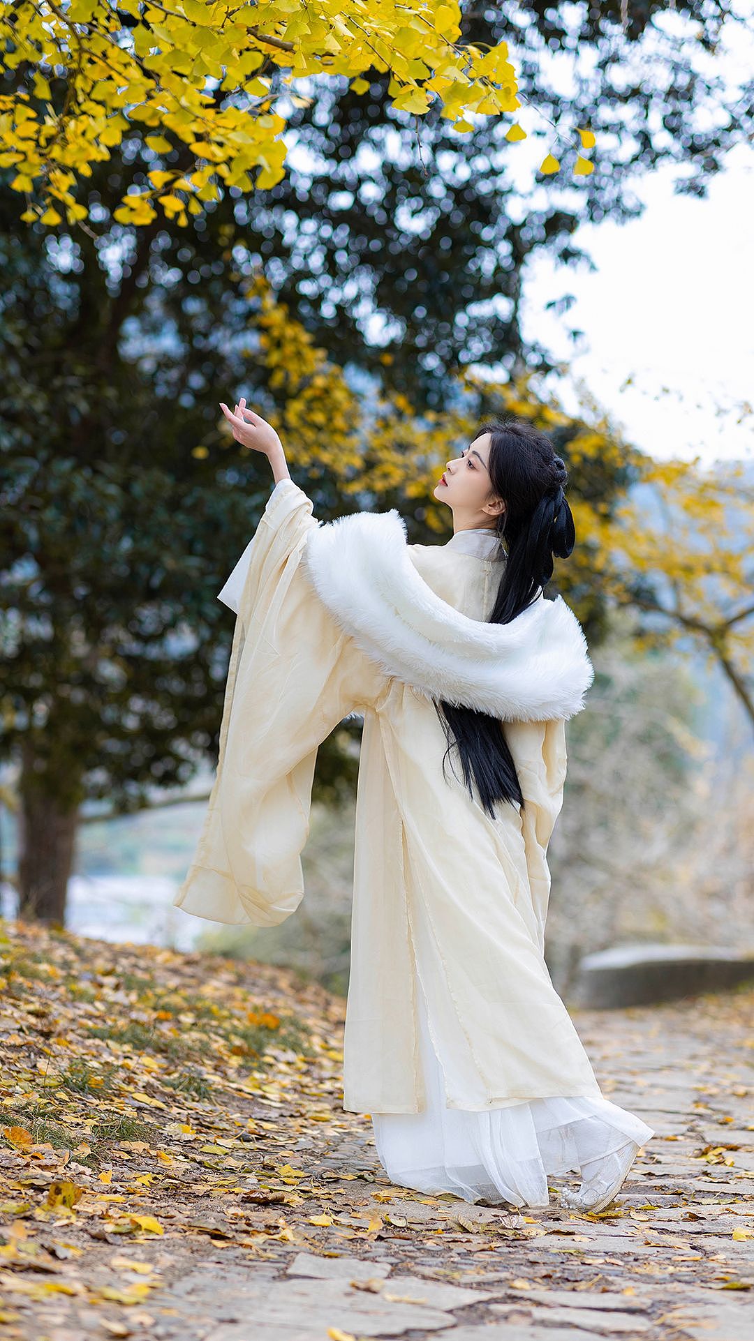 不负银杏不负秋