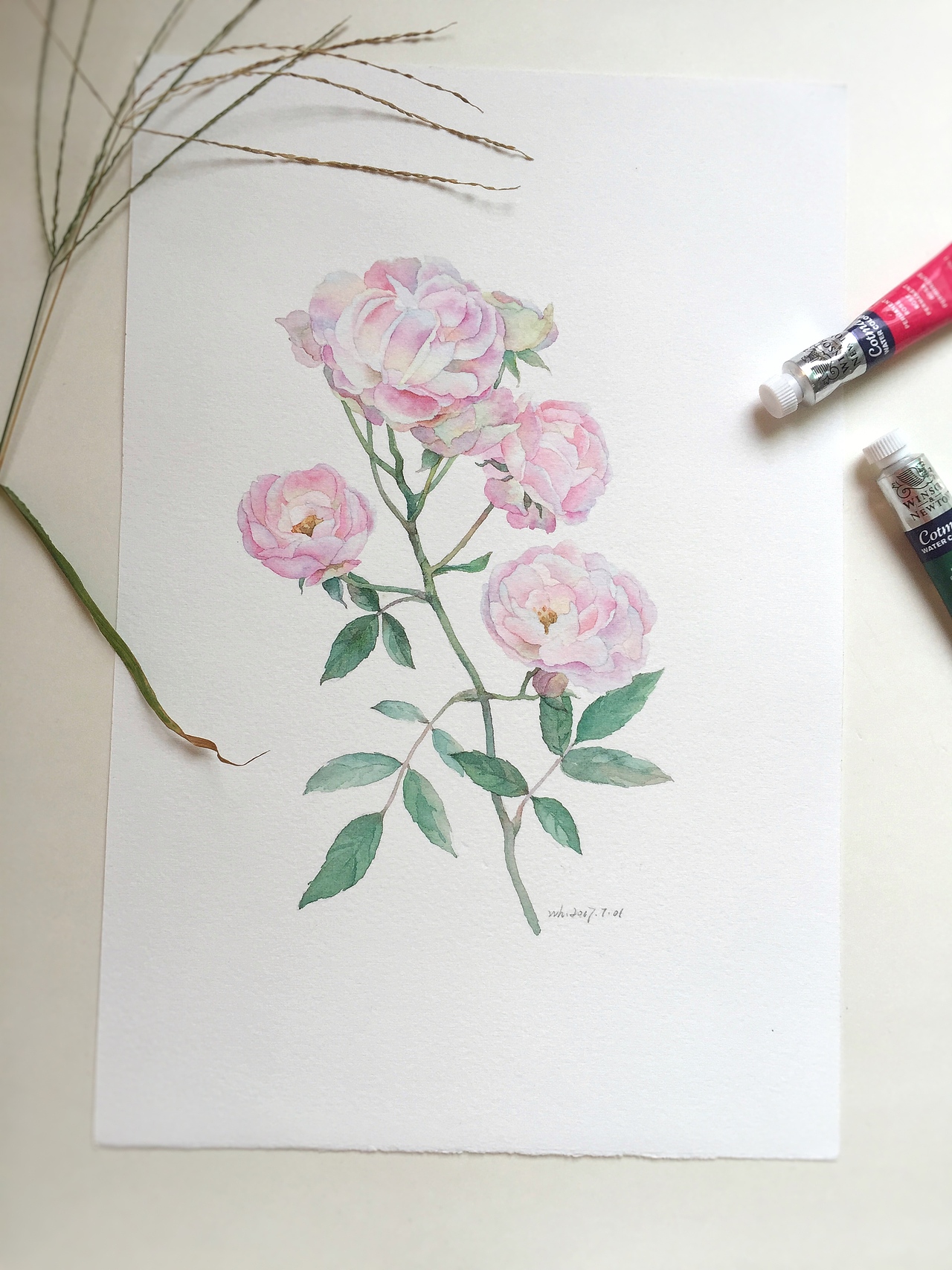 原创水彩画 水彩花卉 蔷薇
