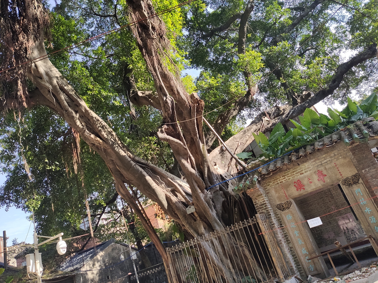 城市速写（广州）~荔湾~泮塘 ~画画写生（图ZMTgzNDM1NTQw） - 绘画 - 站酷设计师画画的陈一丘原创素材 - 站酷ZCOOL