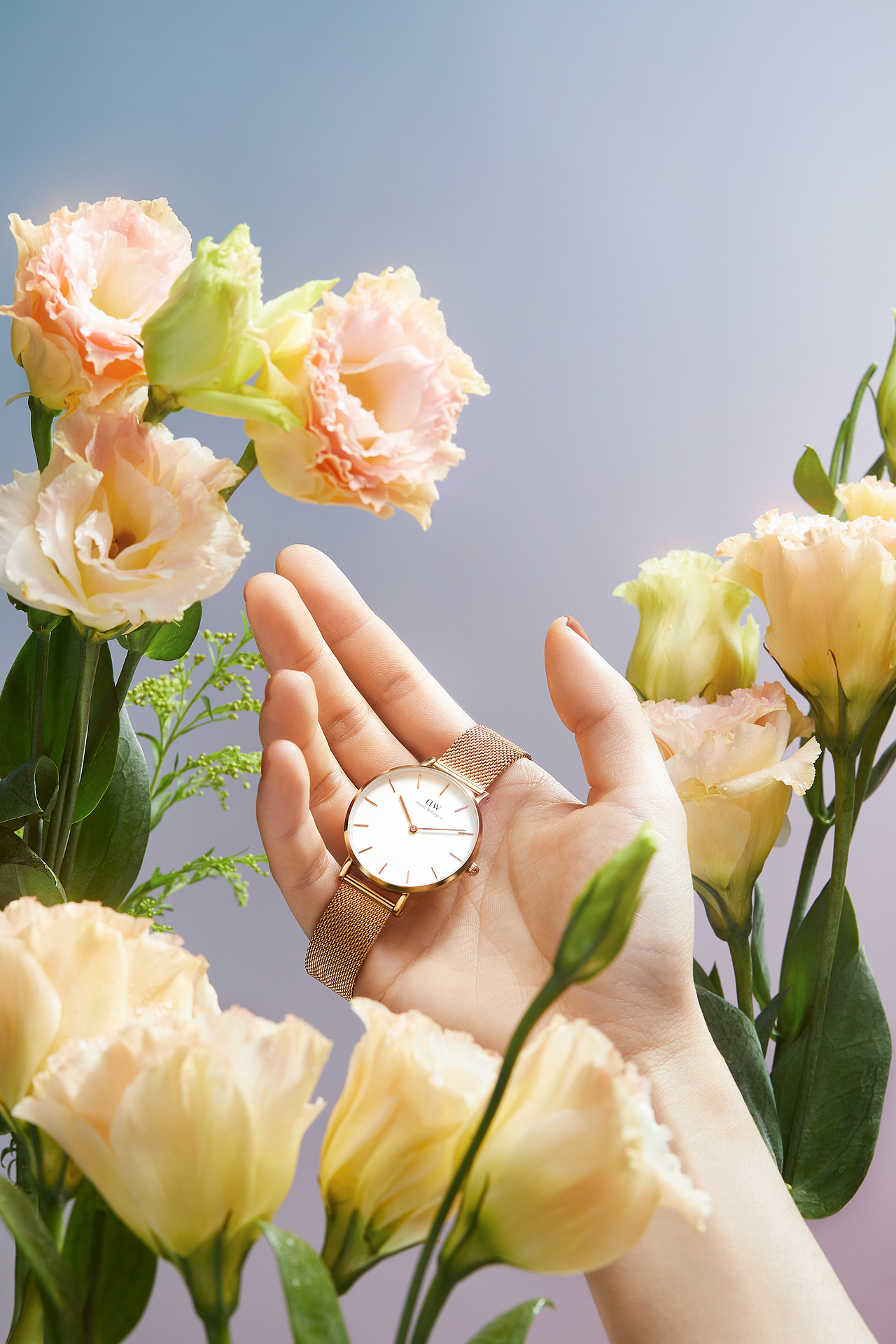 DanielWellington | DW手表（图ZMjU2Njk3ODYw） - 产品摄影 - 站酷设计师愚人斌原创素材 - 站酷ZCOOL