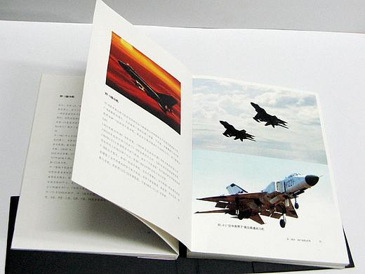 書(shū)籍設(shè)計(jì)（個(gè)人主頁(yè)-ZMjczODY4NjQ=） - 書(shū)籍/畫(huà)冊(cè) - 站酷設(shè)計(jì)師芒果樹(shù)原創(chuàng)素材 - 站酷ZCOOL