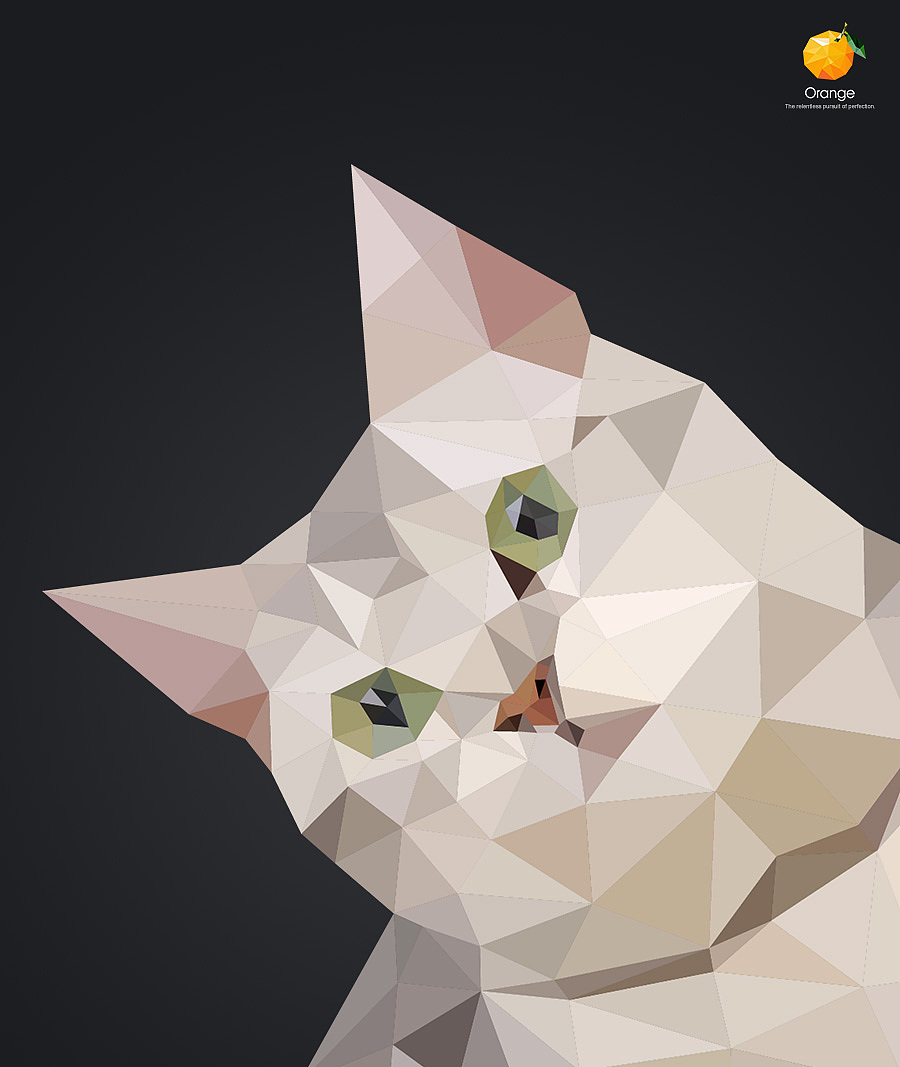 LowPoly~低多边形设计（图ZMTg3MTYzOTI=） - 图案 - 站酷设计师郭粒橙原创素材 - 站酷ZCOOL