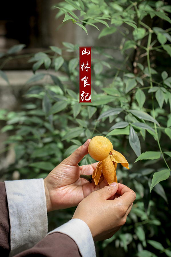 枇杷 │ 没吃过白玉枇杷，就还不认识枇杷。（图ZMjA3OTIxNTQ4） - 产品摄影 - 站酷设计师山林纪原创素材 - 站酷ZCOOL