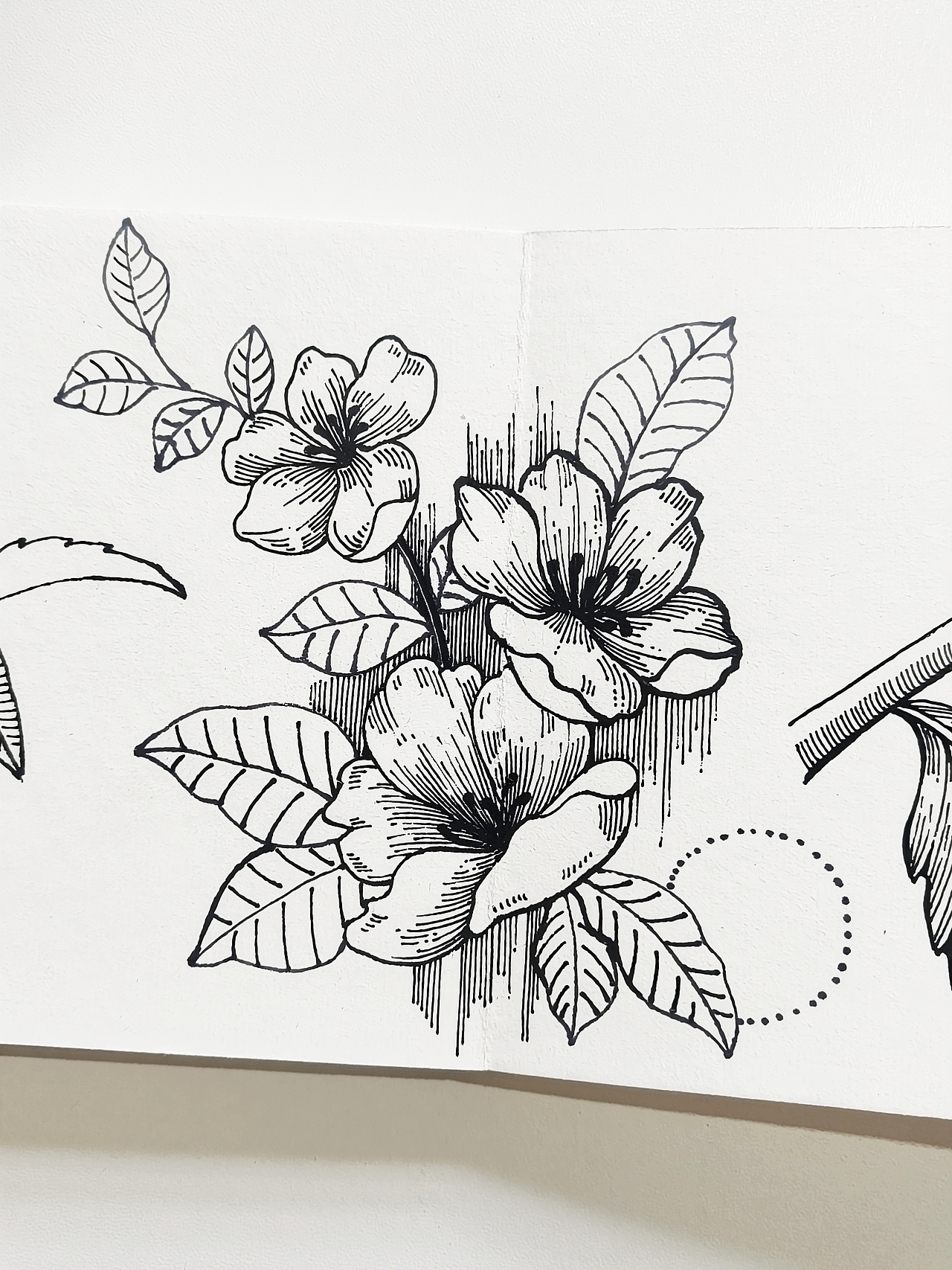 线描花卉，花园里面有什么？（图ZMzczNTM5NzE2） - 绘画 - 站酷设计师会画画的云原创素材 - 站酷ZCOOL