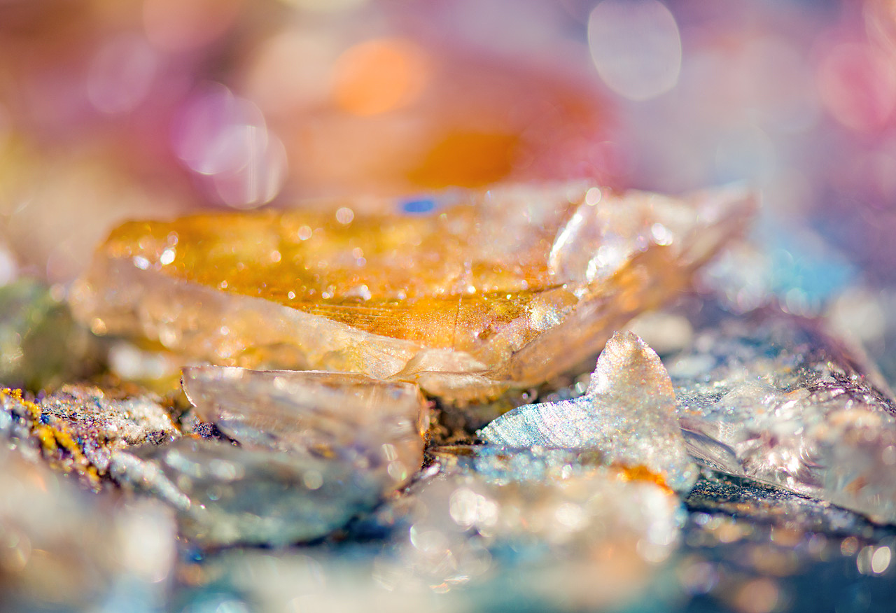 Danica呆的个人主页（封面预览） - 主页封面设置 - 站酷设计师Danica呆原创素材 - 站酷ZCOOL