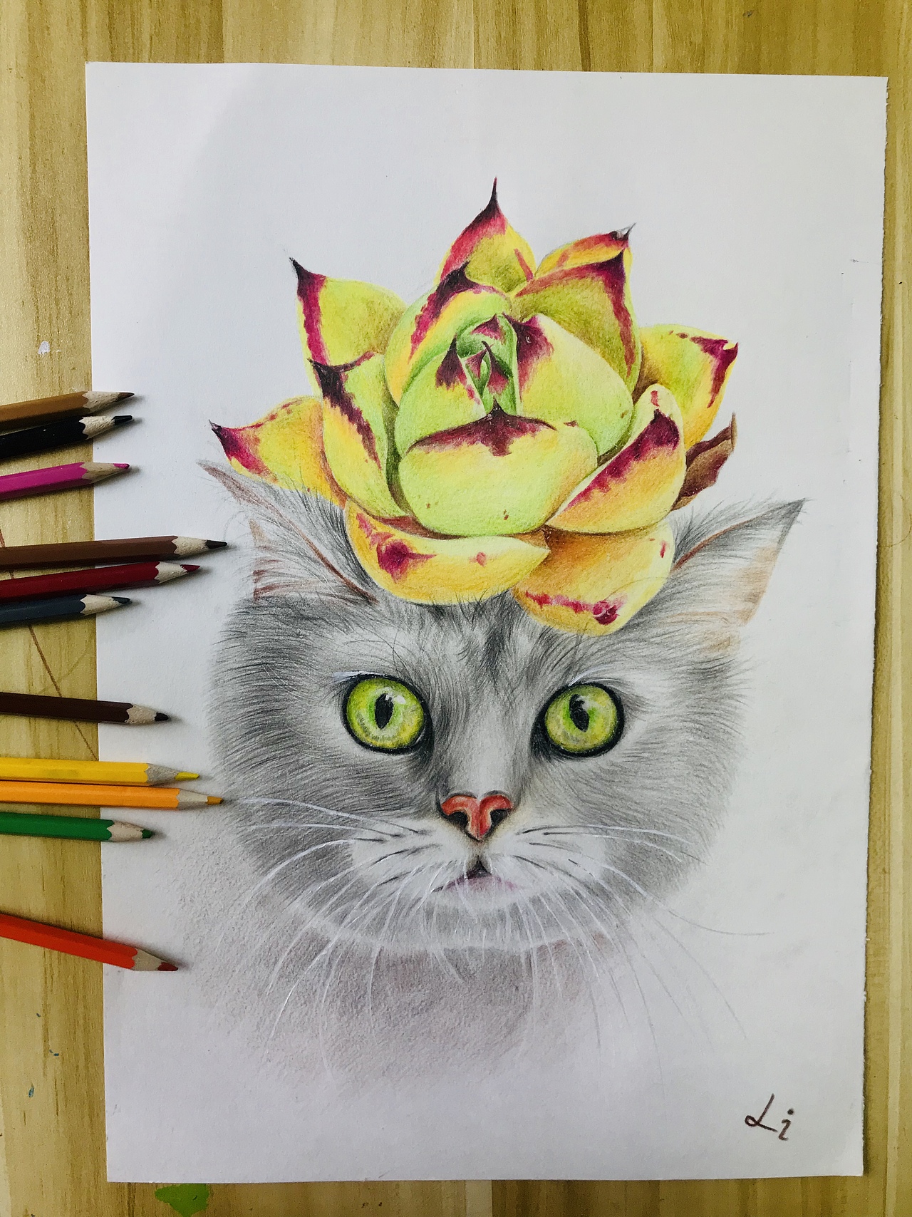 人物多肉彩铅画