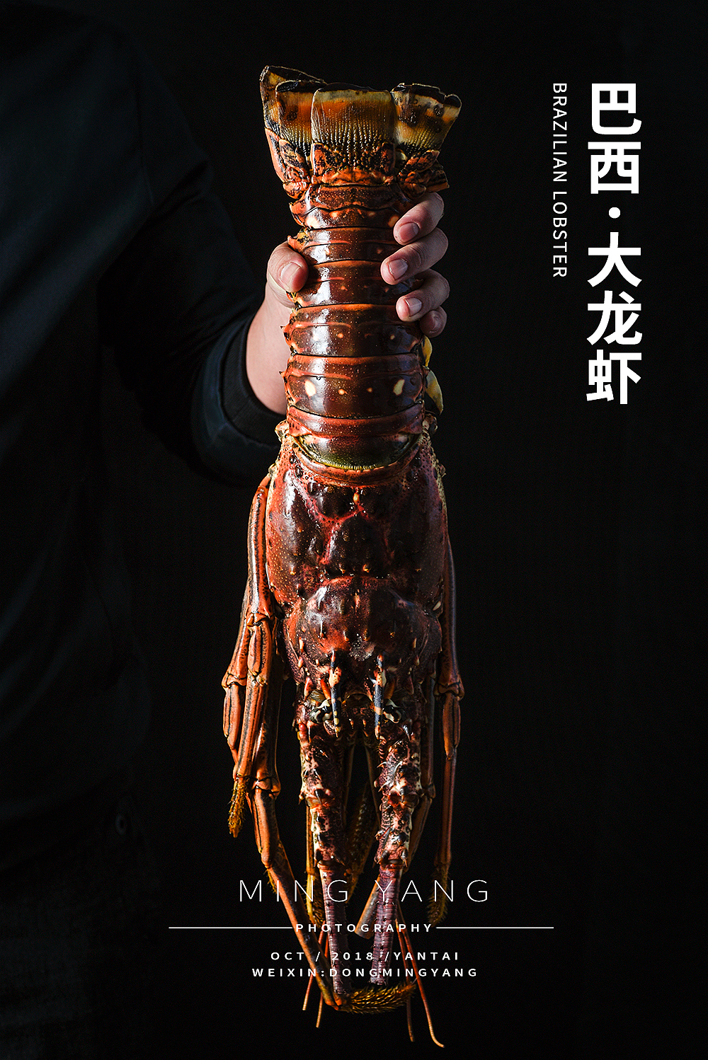 巴西大龙虾（图ZMTMzNjgyNDU2） - 产品摄影 - 站酷设计师摄影师董名扬原创素材 - 站酷ZCOOL