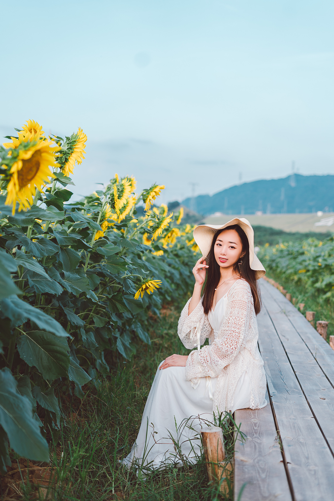太阳有很多向日葵，可向日葵只有一个太阳